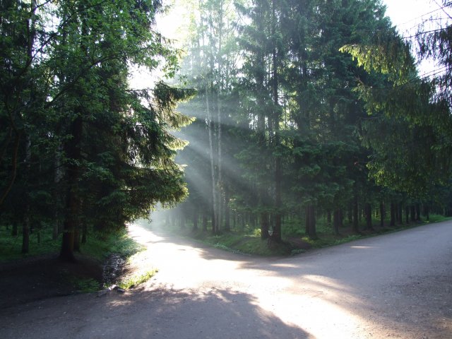 Парк просыпается с лучами утреннего солнца