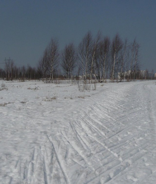 Лыжный путь "немного в горку"