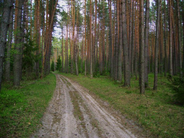 Вспомним недавнее лето!