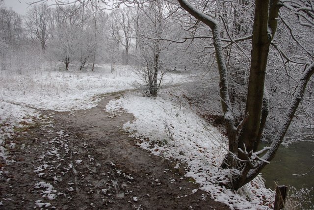 Дорожка.