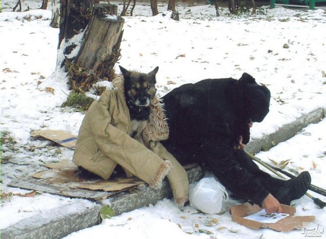 "Верный друг". Фотография Александра Михайлина (Новосибирск)