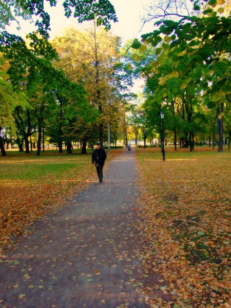 г. Кронштадт, Петровский парк