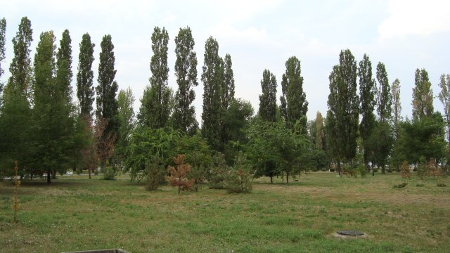 Сквер на Пушкинской набережной